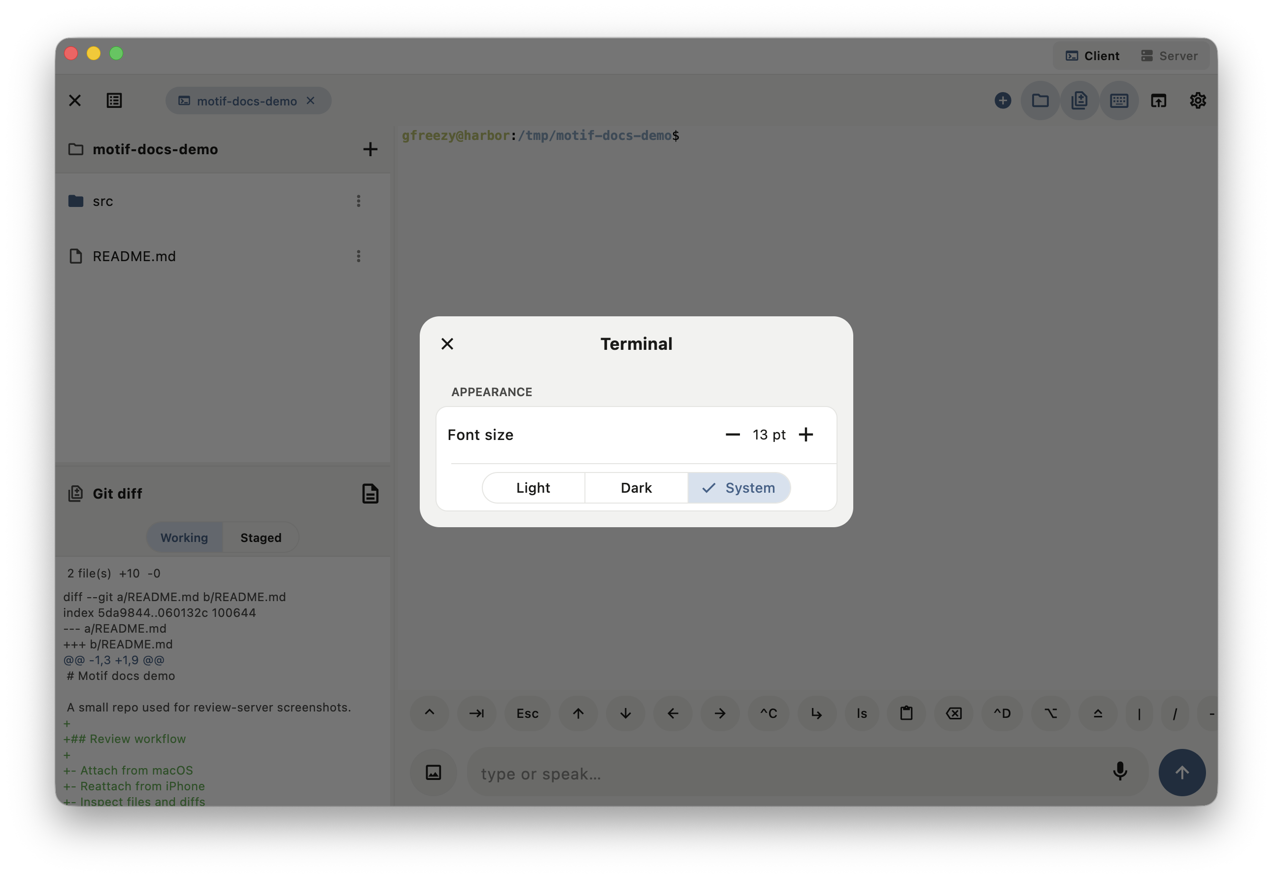 Motif macOS terminal settings dialog with font size and light dark system theme controls